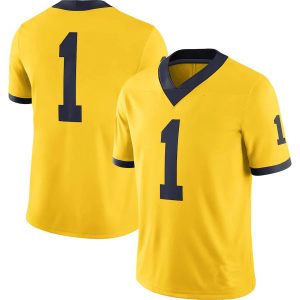 1MichiganWolverinesJordanBrandAlternateGameJersey-Maize